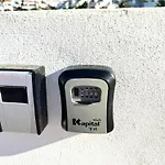 Royal Palm 10 *