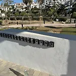 Royal Palm 10