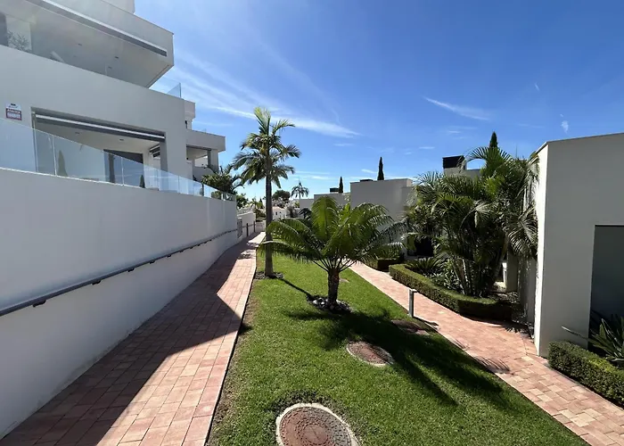 Royal Palm 10