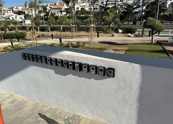 Royal Palm 10